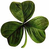 170px-Irish_clover